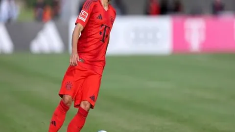 “佛山南狮主教练安东尼奇遭解雇”