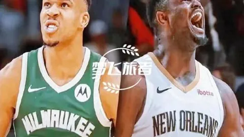 鵜鶘預期健壯陣容燃點，未制定應對釋放烏鴉策略